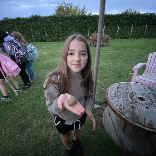 IMG0146