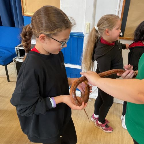 Reptiles Visit Photos