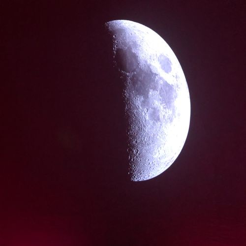 IMG8963