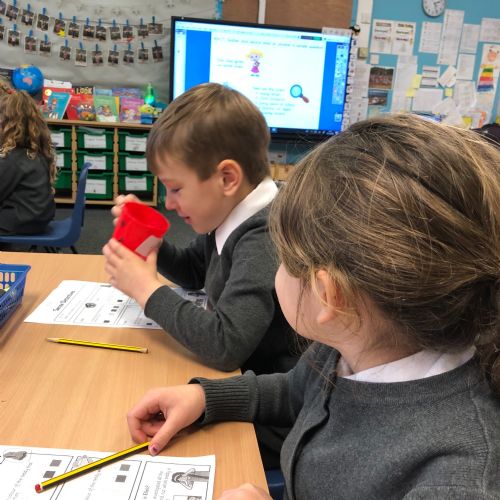 Using Our Senses