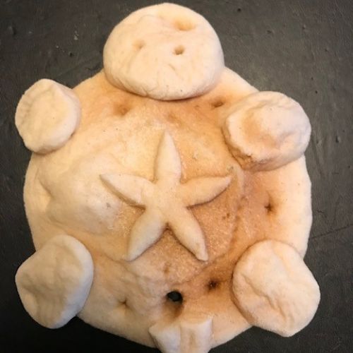 Turtlesaltdough