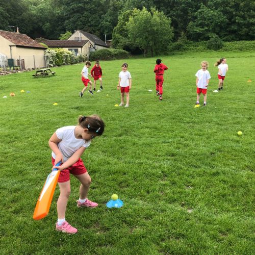 Cricket