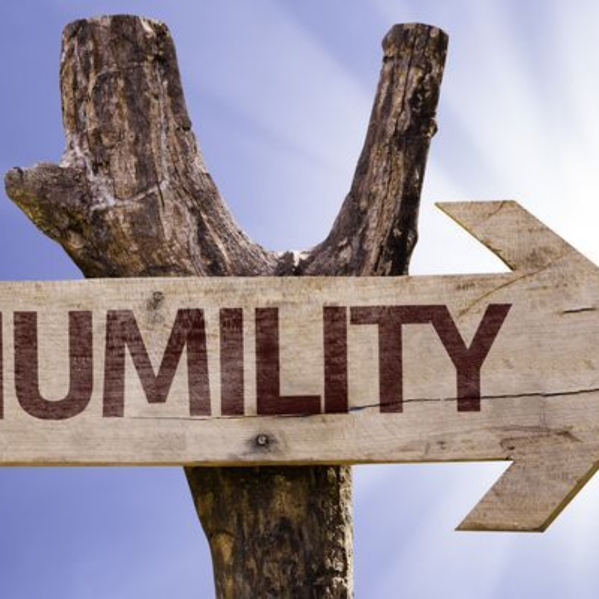 Thought for the Week - Almondsbury Church of England Primary School